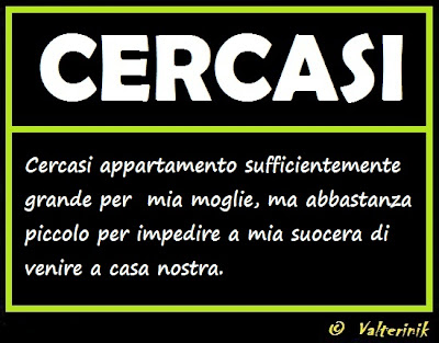 cercasi+-+appartamento.jpg