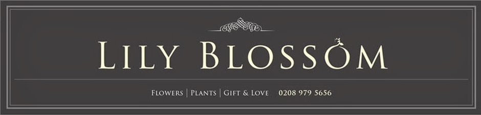 Lily Blossom florist