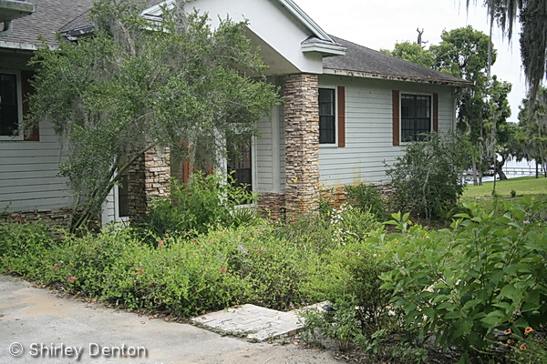 florida native plant society
