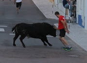 Fotos São Romão 2018