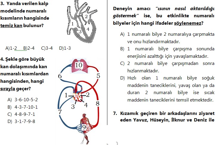 6. Sinif Fen ve Teknoloji 2. Dönem 2. Yazılı Sınav Soruları 2012 2013