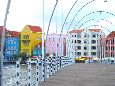 House Tulips  July 2011