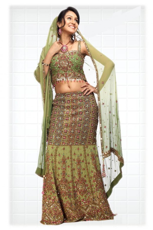 Indian Bridal Wear Indian brides Indian women also famous for her grace