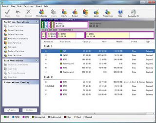 MiniTool Partition Wizard Professional Edition 7.5 minitoolpartitionwiz