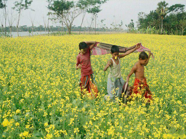 Paragraph natural beauty of bangladesh image