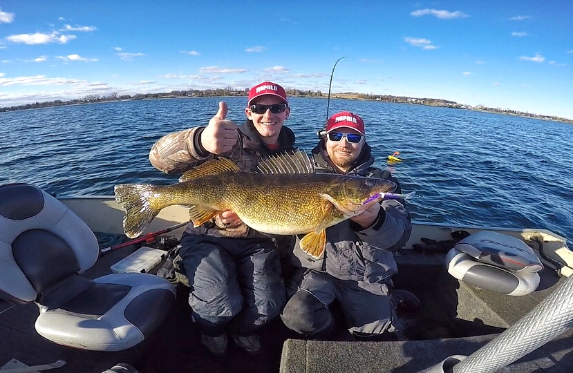 Bay of Quinte Walleye