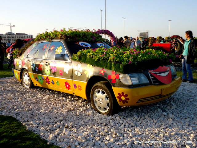 car at Dubai Miracle Garden