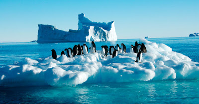Keputusan Pertandingan Antartika Lestari 2013