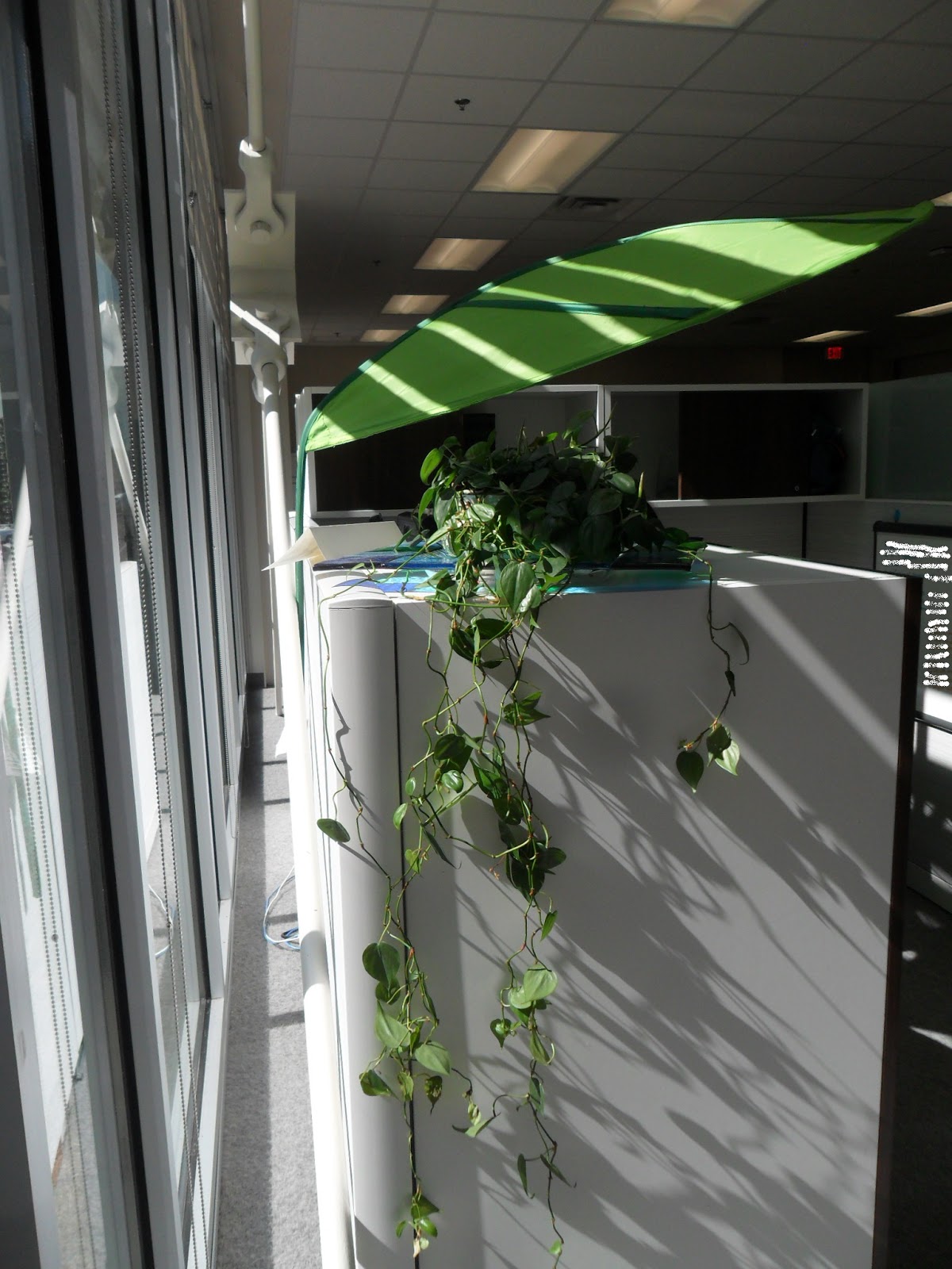 OT Tools for Public Schools Leaf Filter to Reduce Glare at Computer