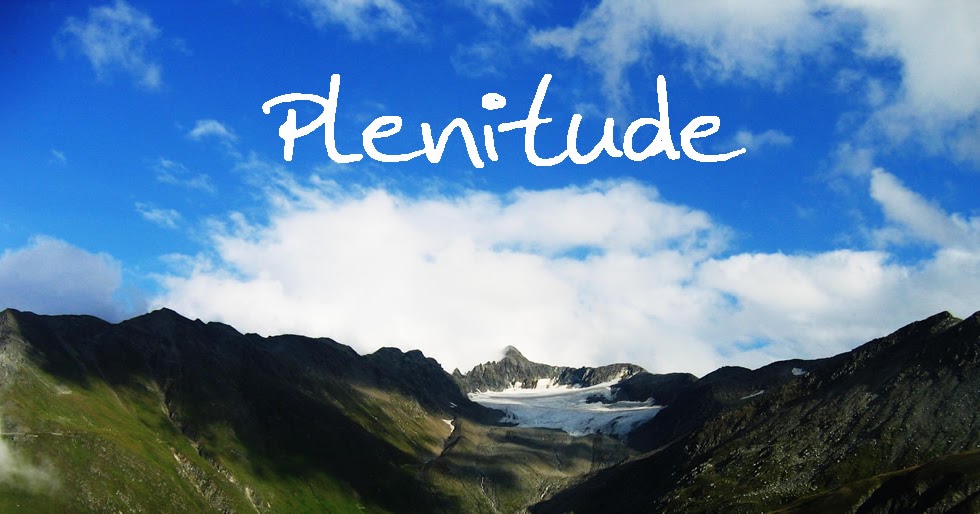 MEUS ESTUDOS BÍBLICOS A PLENITUDE DE DEUS