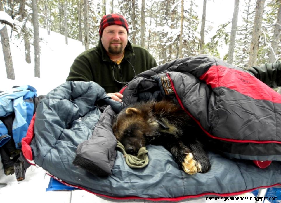 Boise National Forest Employment Boise National Forest Employment