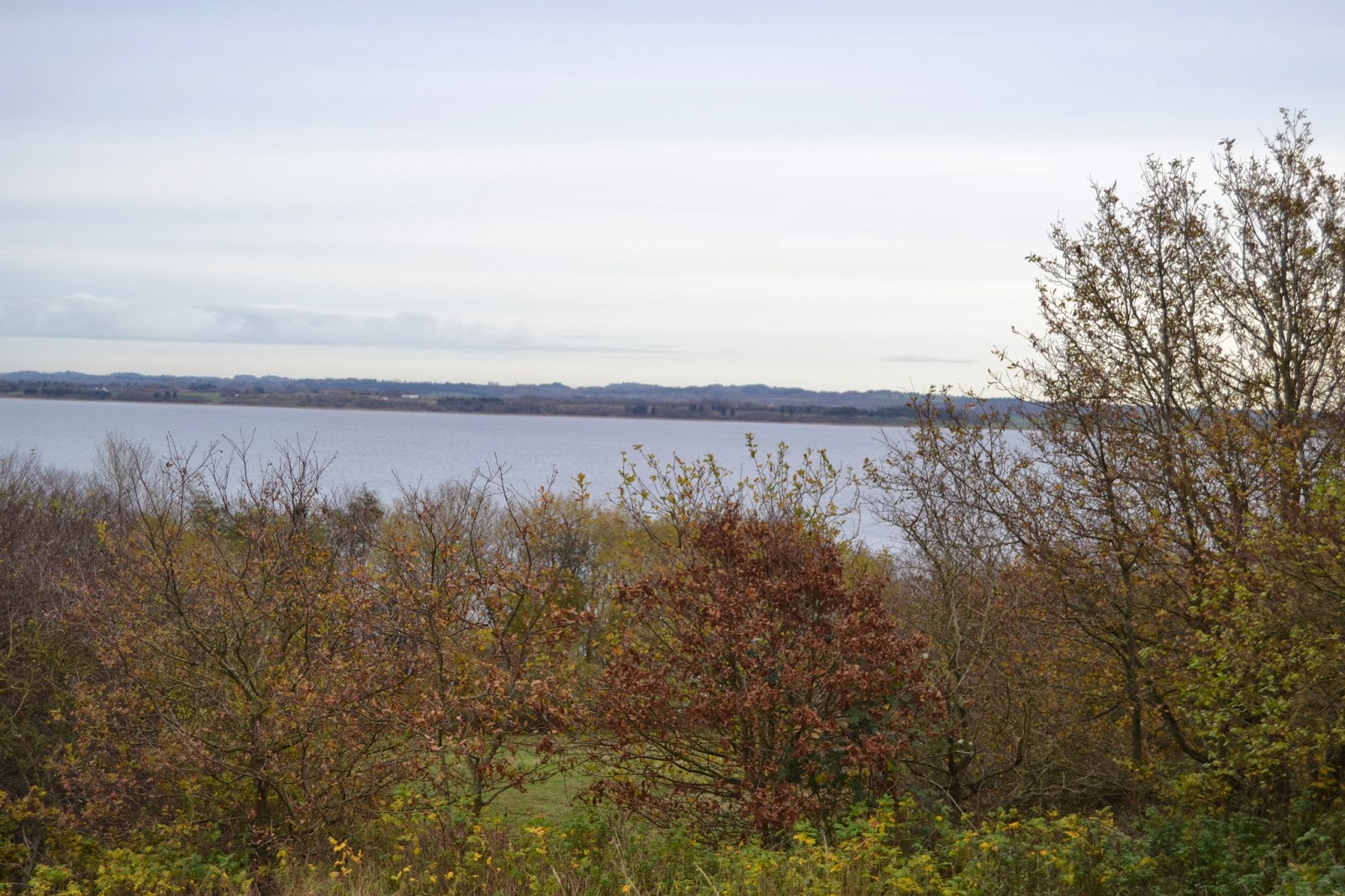 [Image: DSC_0003.JPG]