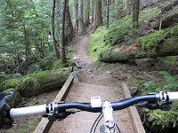 Banner Frame Photos Banner Forest