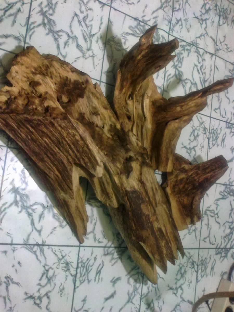 Download Kayu Gaharu Trader Pembeli Kayu Gaharu Beli Kayu Karas Desktop Wallpaper Wallpaper Kayu Gaharu Trader Pembeli Kayu Gaharu Beli Kayu Karas For Android Free