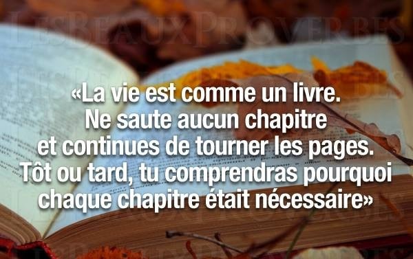 Les Lectures De Lily Citations Litteraires