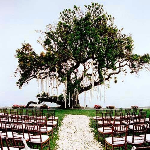 2015 Outdoor wedding decorations ideas