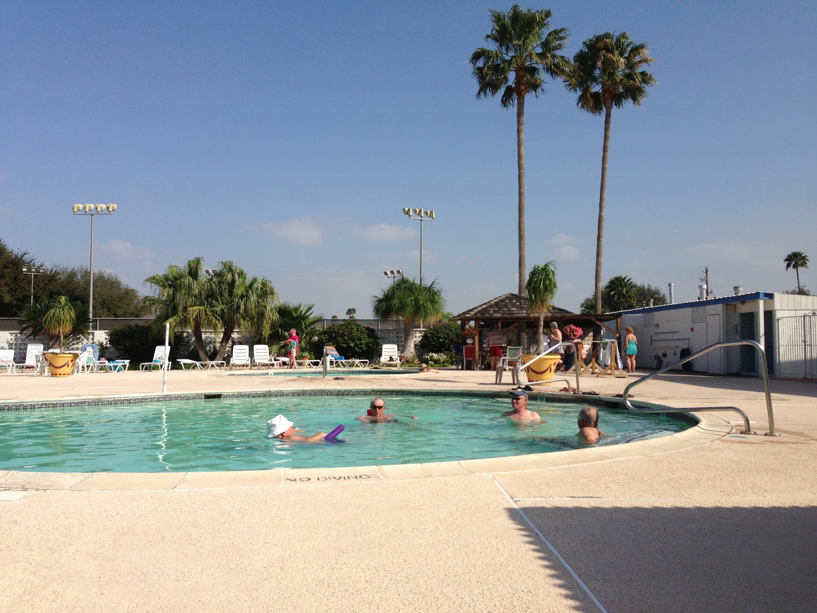 Free Rosey & Free Willy RV Travel Rio Grande Valley, Texas Pharr