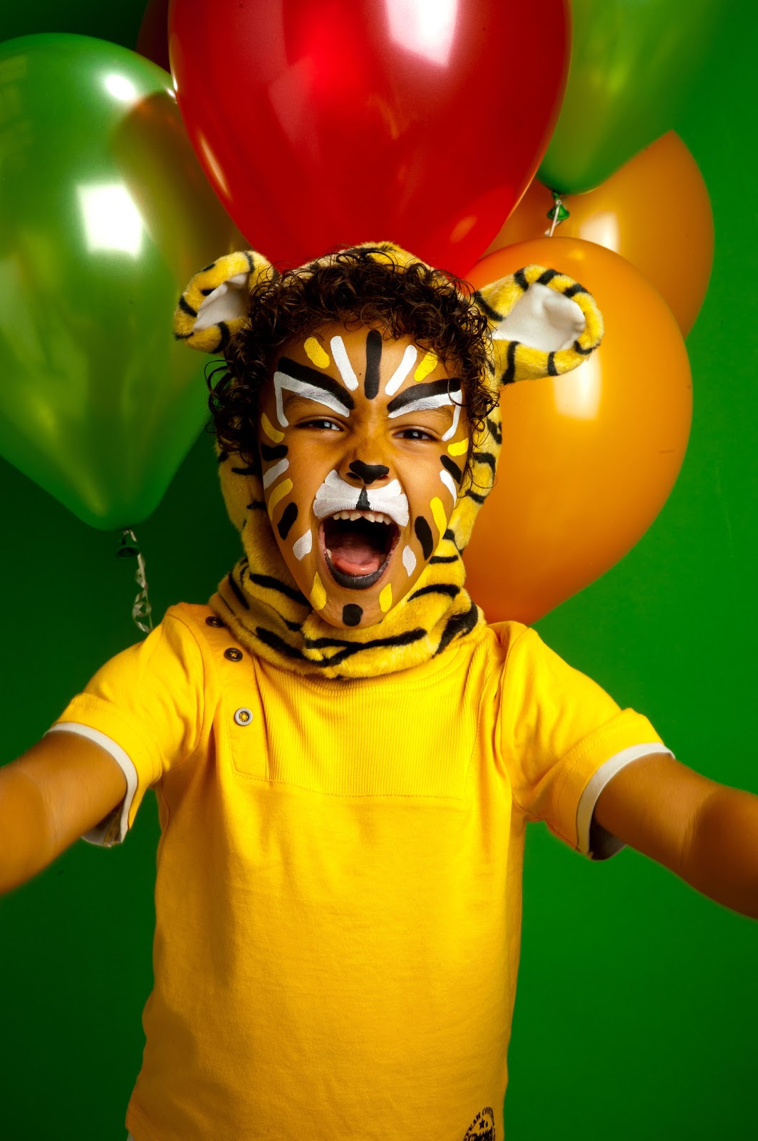 Helen Cats Whiskers Snazaroo Face Painting Sticks