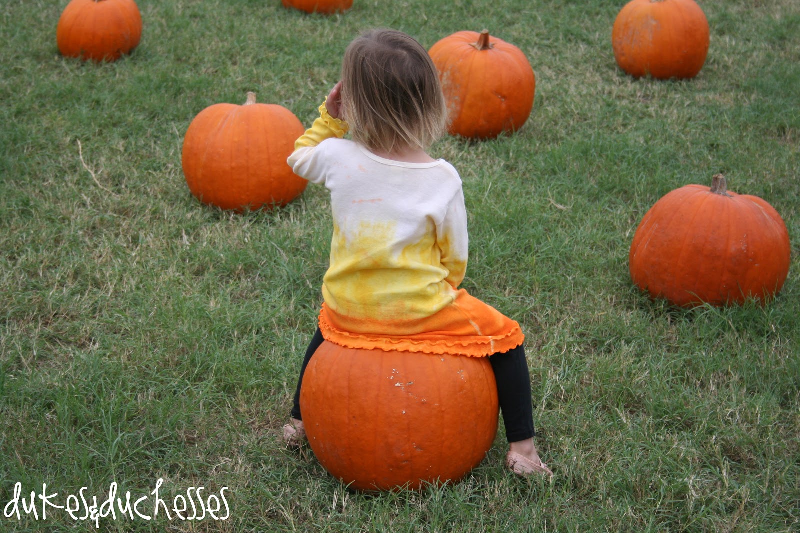 The Pumpkin Patch {Flower Mound Pumpkin Patch} Dukes and Duchesses