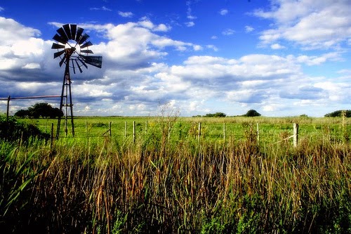 Resultado de imagen para financiamiento en el sector agropecuario argentino