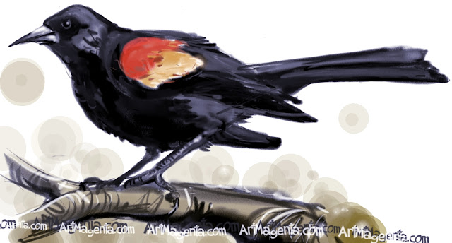 Red-winged Blackabird is a bird drawing by artist Artmagent