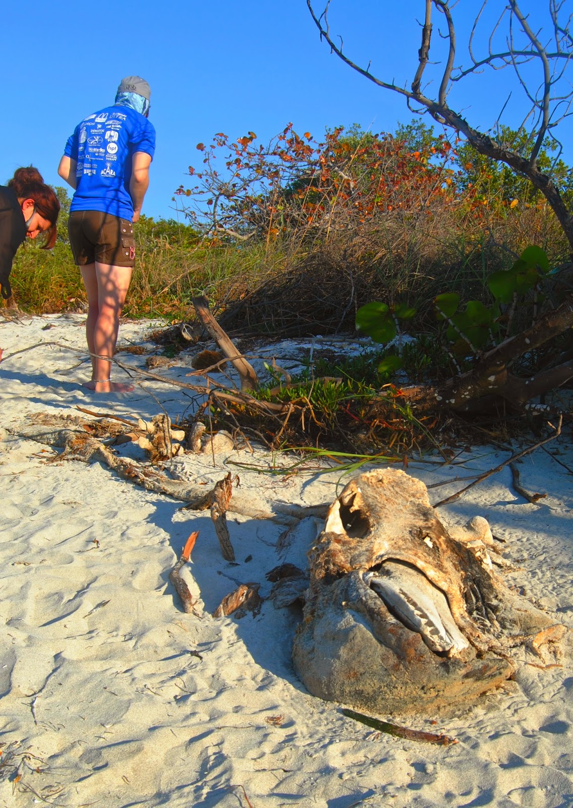 Ecology of Appalachia Key West Backcountry Expedition Round 2