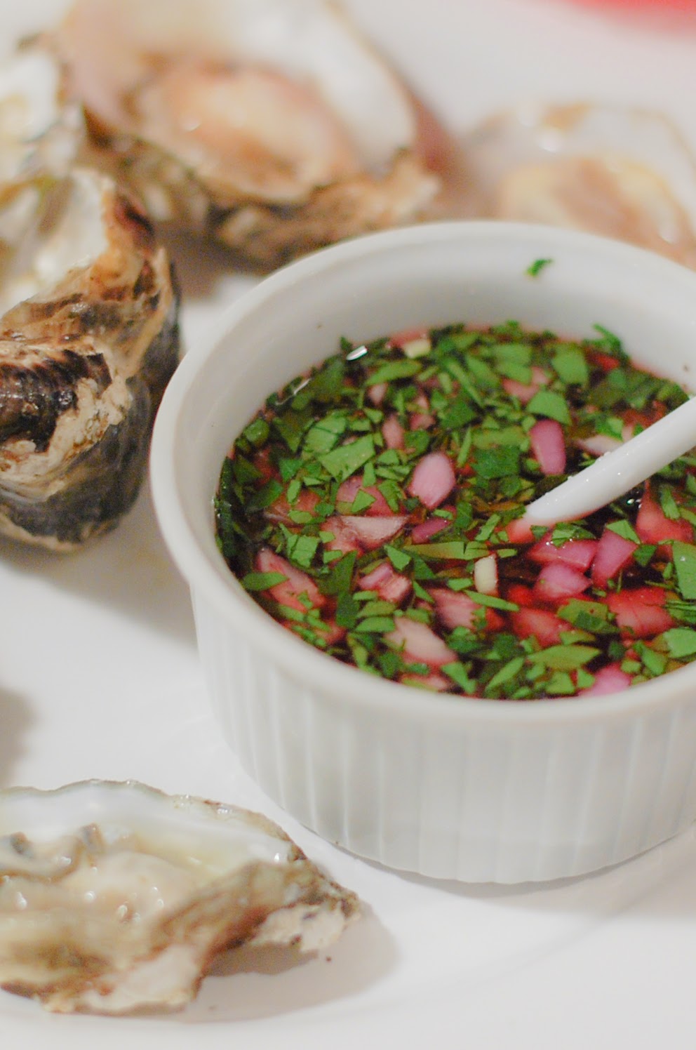 Reckless Abandon Red Wine Vinegar, Shallot and Cucumber