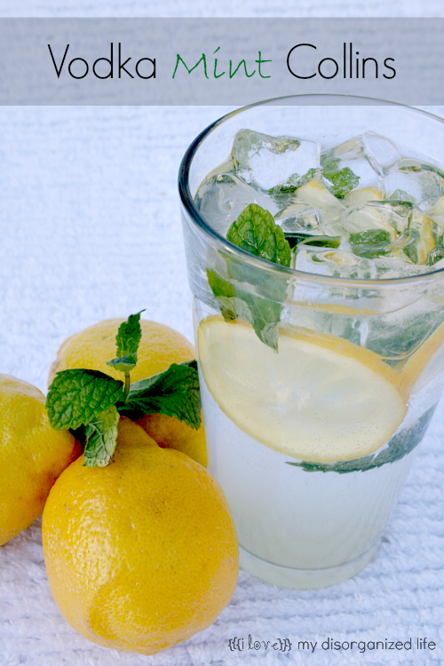 Vodka Mint Collins Cocktail Recipe {i love} my life