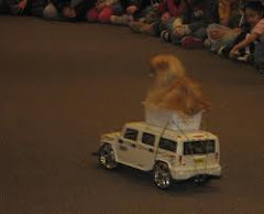 Misty Riding The Hummer