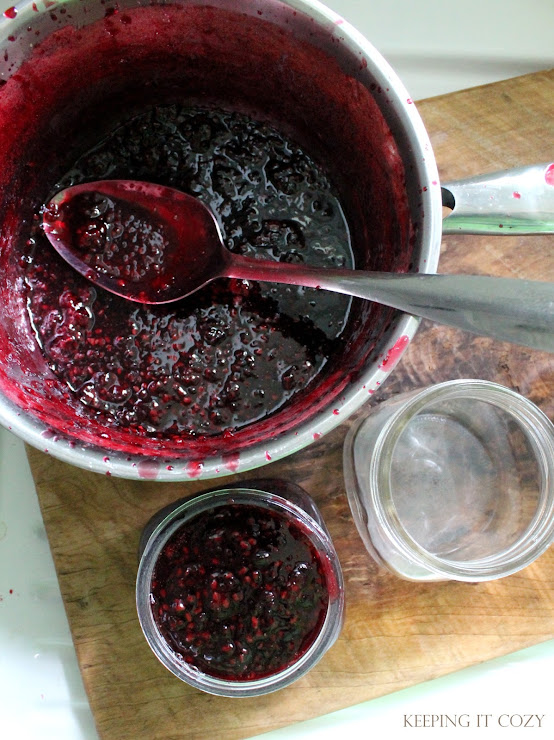 Keeping It Cozy Blackberry Preserves (PectinFree and With Honey)