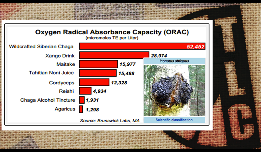 IASO CHAGA (Exclusividad de TLC) THE CHANGE