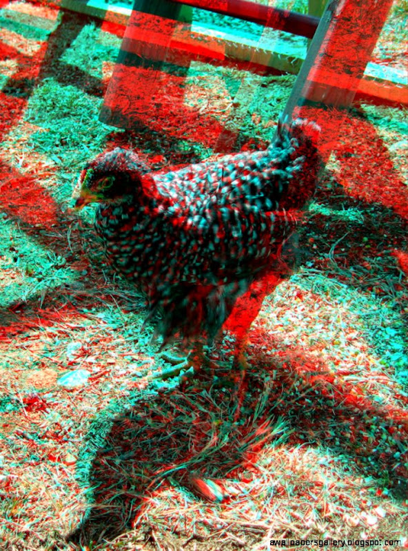 Make Your 3D Glasses and See These Awesome 3D Images Make Your 3D Glasses and See These Awesome 3D Images