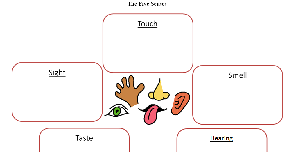 MISS ALINA'S CLASS: 2ND GRADE SCIENCE HOMEWORK EXERCISE OCTOBER 8TH