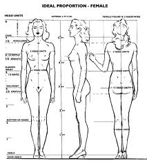 the male female form ideal proportions in art making our lives ideal female form