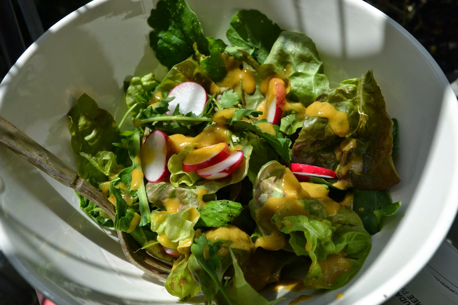 boeddhamum glutenfree Garden lettuce with raw carrot dressing (GFDFSFV)