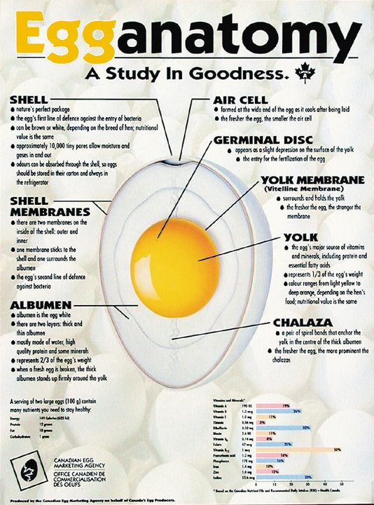 Gfscorner (金鱼堂) April 2013