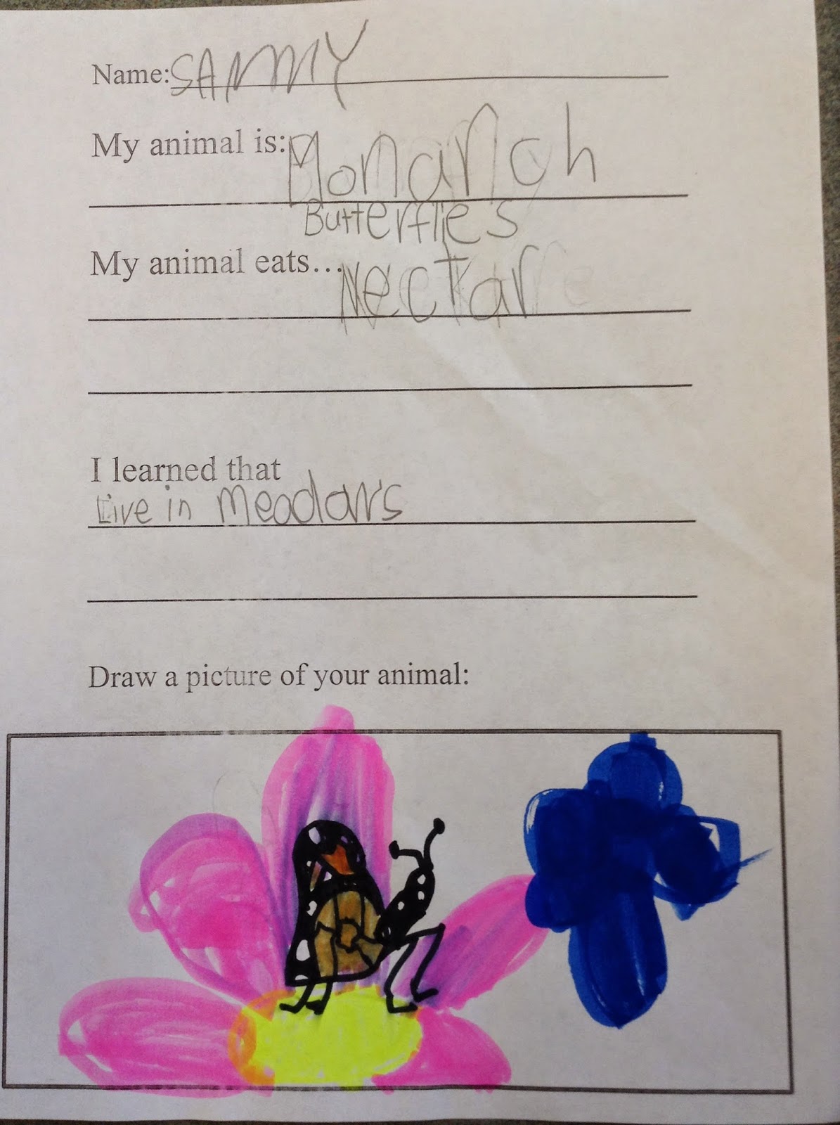 Ms. Kosmo's Infotalk spot Can kindergartners do research? Yes they can!