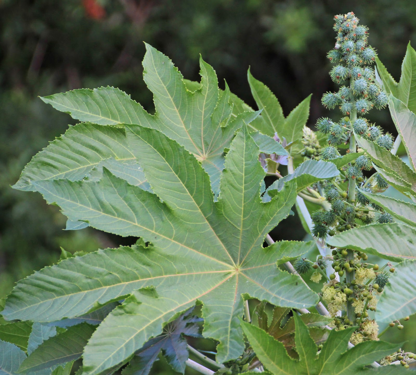 Around the Bend January 2013