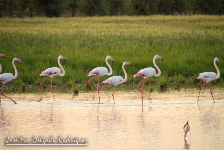 Lagunas de Lantejuela