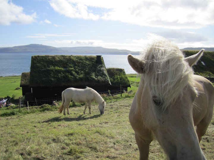 Works And Days November 2011