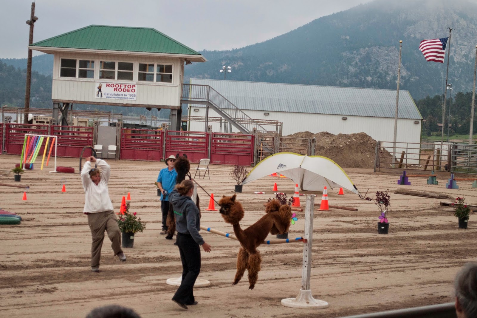 The Adventures of Asher & Journey Estes Park Wool Festival, yes, you