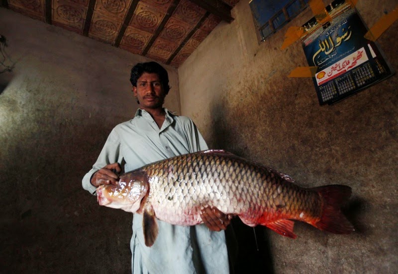 Uniknya Memancing ikan di Danau Keenjhar, pakistan http://www.athba.net/