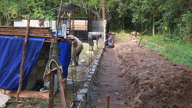 Making the wall of the main enclosure