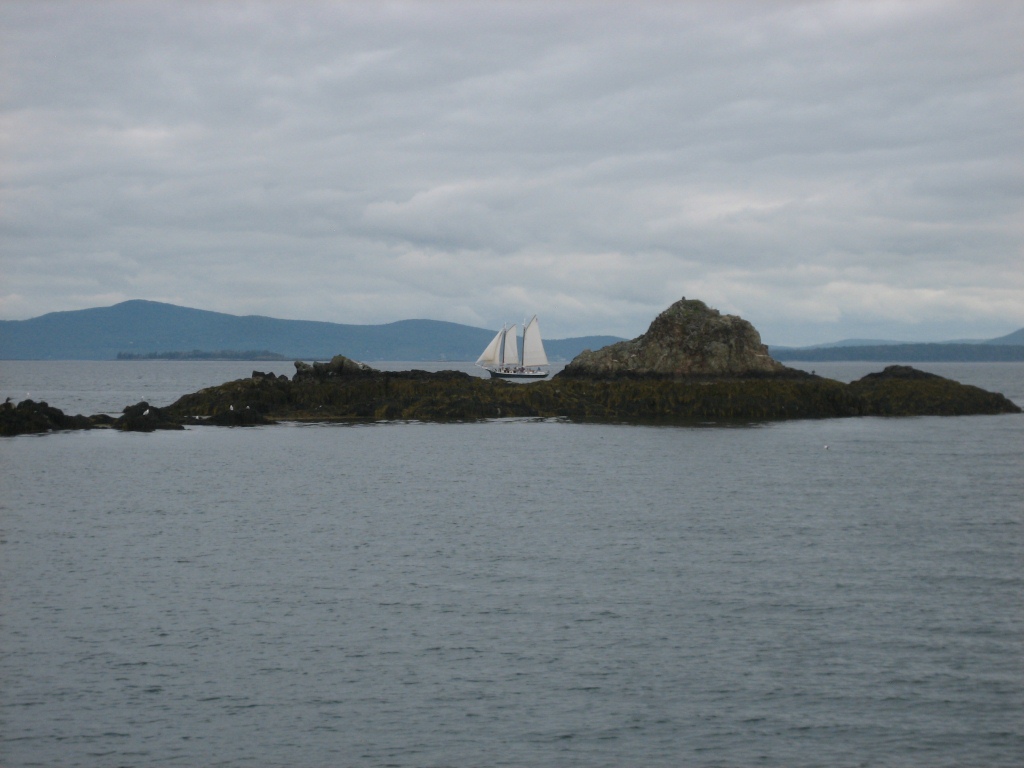 Seabiscuit Roque Island, Maine