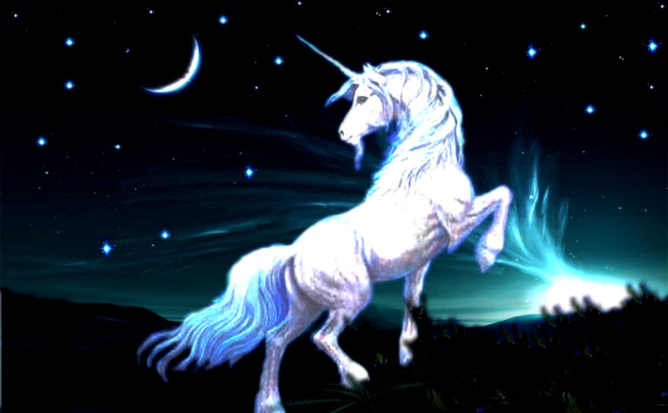 Unicorn Wallpaper 1024x768px 910407 Unicorn Wallpaper 1024x768px 910407