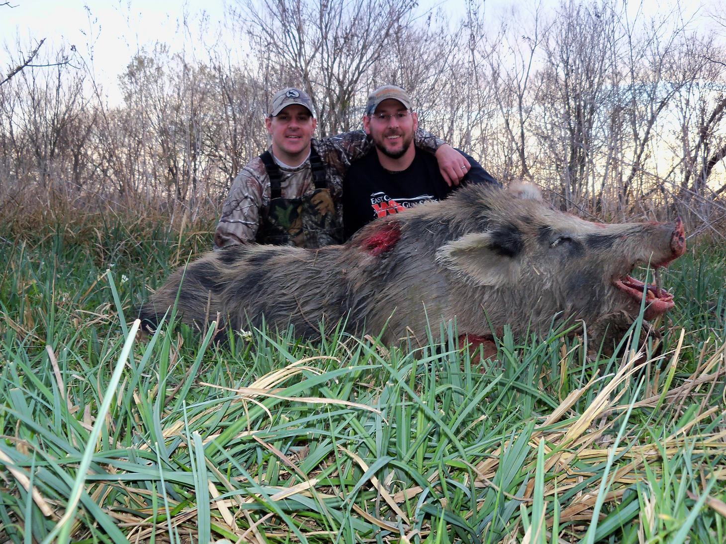 Giant Hogs