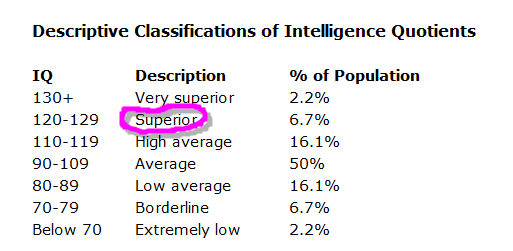 chong a block the works of a brain with an iq of 128 how an iq test works