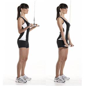 Tricep Curls Exercise