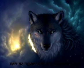 HQ Wallpapers 3D Wolf Photos HQ Wallpapers 3D Wolf Photos