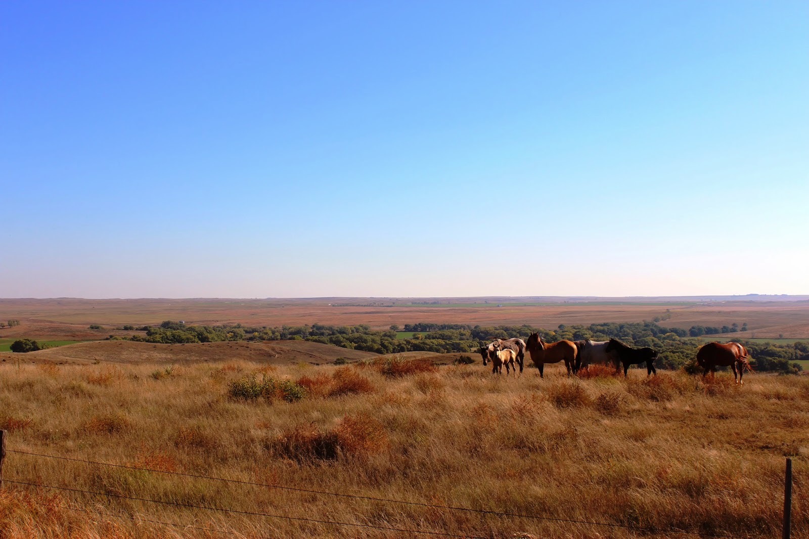 Know Nebraska; Hayes County Road Trip